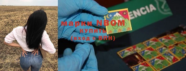 гашик Белокуриха